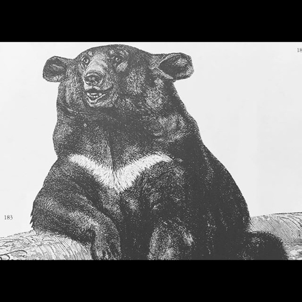 Meet your Posher, Jesse